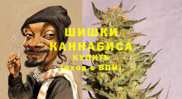 спайс Иннополис
