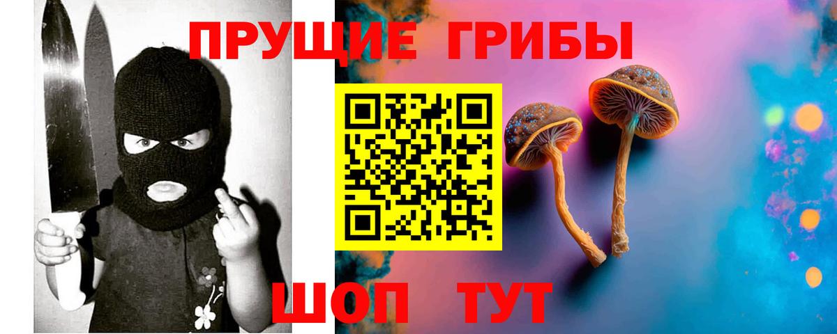 Псилоцибиновые грибы прущие грибы Шатура